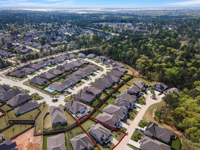 231 Painters Ridge Court, Willis, TX 77318