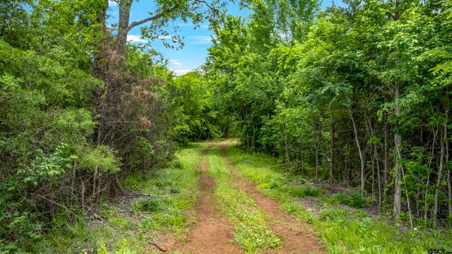 11710 FM 344 W, Bullard, TX 75757