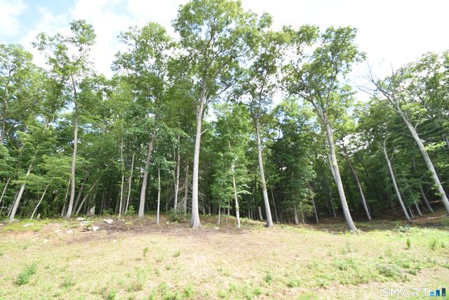 166 Boston Turnpike A, Bolton, CT 06043