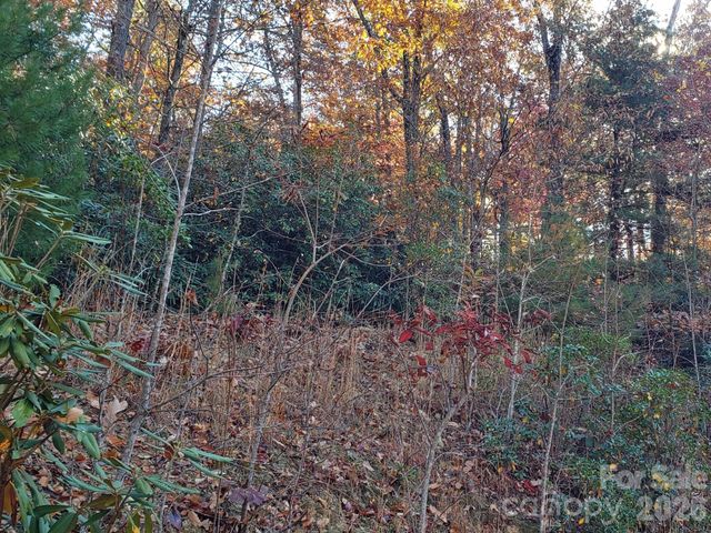 TBD Top Oaks Lane Lot 58, Pisgah Forest, NC 28768