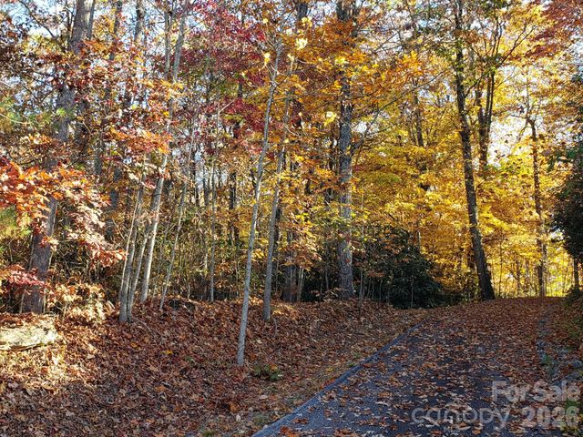TBD Top Oaks Lane Lot 58, Pisgah Forest, NC 28768