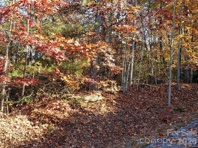 TBD Top Oaks Lane Lot 58, Pisgah Forest, NC 28768
