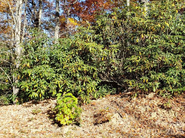 TBD Top Oaks Lane Lot 58, Pisgah Forest, NC 28768