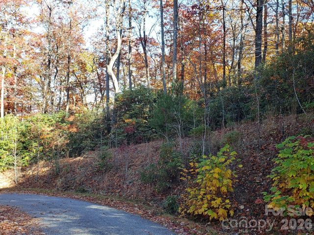 TBD Top Oaks Lane Lot 58, Pisgah Forest, NC 28768
