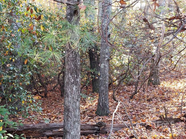TBD Top Oaks Lane Lot 58, Pisgah Forest, NC 28768