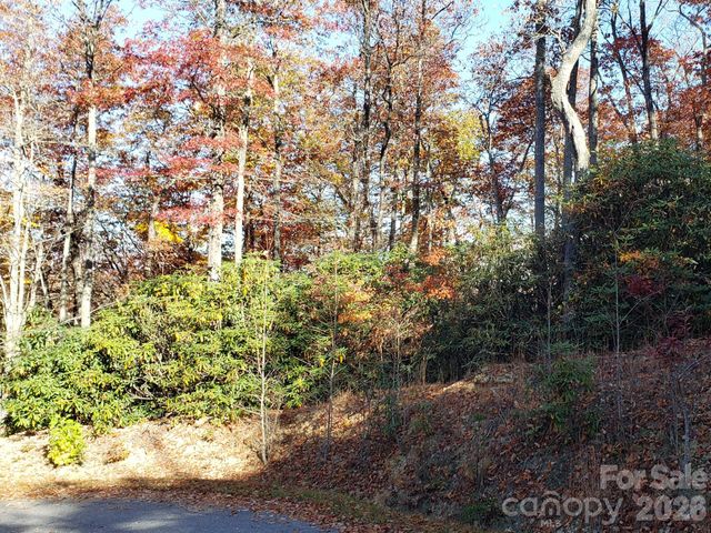 TBD Top Oaks Lane Lot 58, Pisgah Forest, NC 28768