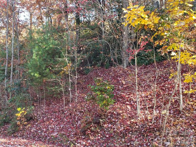 TBD Top Oaks Lane Lot 58, Pisgah Forest, NC 28768
