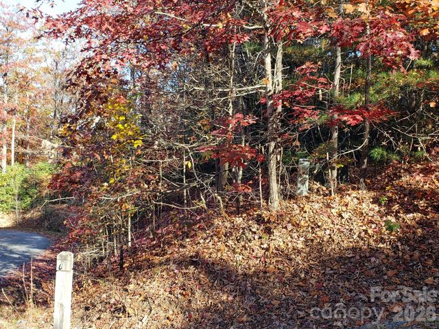 TBD Top Oaks Lane Lot 58, Pisgah Forest, NC 28768