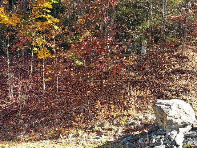 TBD Top Oaks Lane Lot 58, Pisgah Forest, NC 28768
