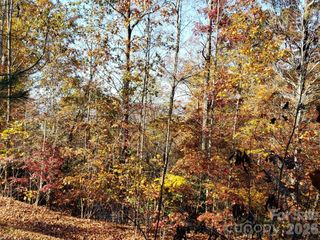 TBD Top Oaks Lane Lot 58, Pisgah Forest, NC 28768