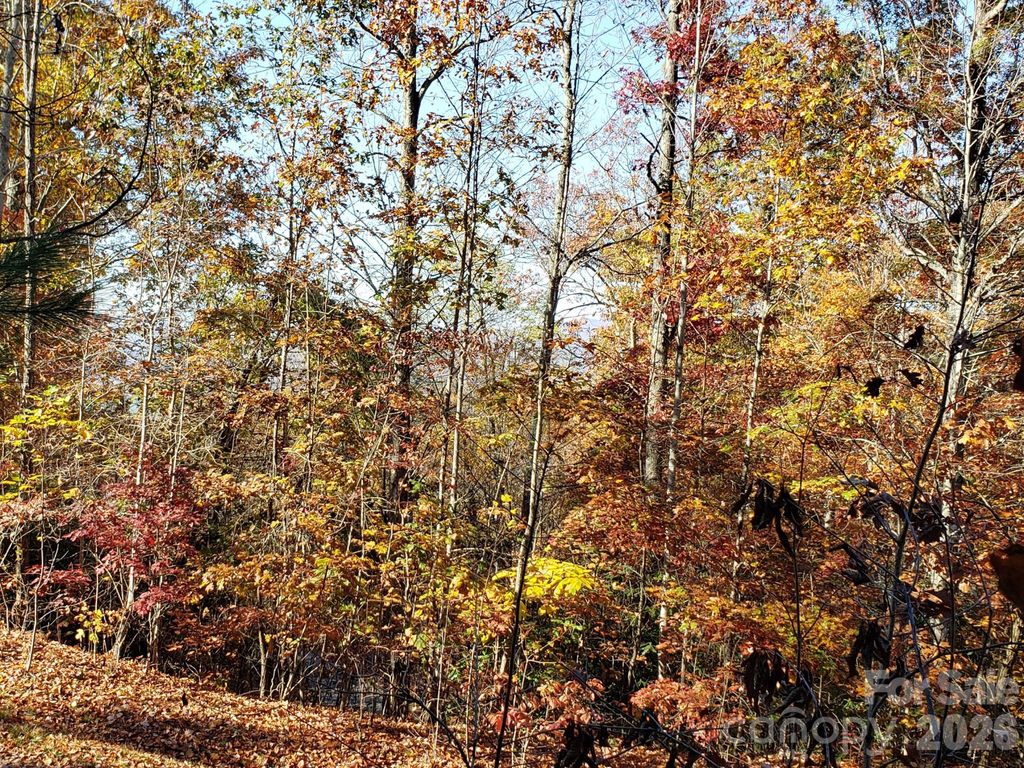 TBD Top Oaks Lane Lot 58, Pisgah Forest, NC 28768