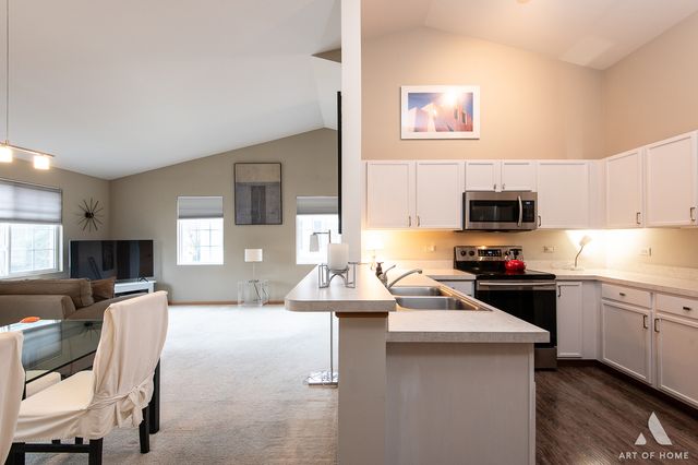 1117 Silverstone Drive 1117, Carpentersville, IL 60110