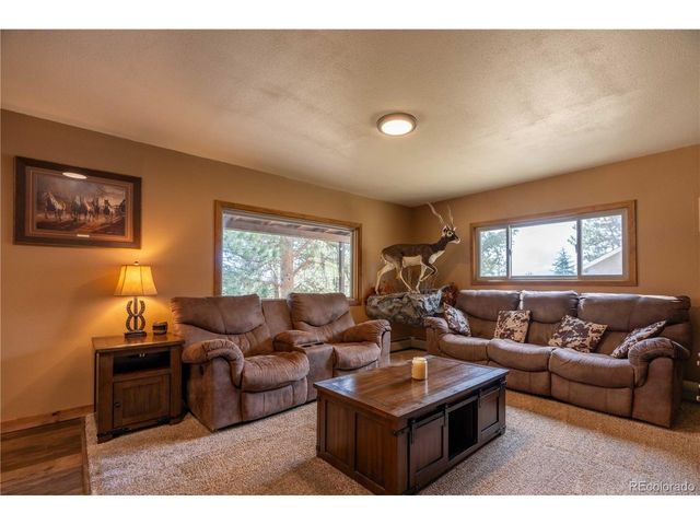 43 Doe Cir, Bailey, CO 80421