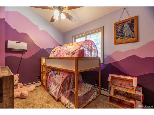 43 Doe Cir, Bailey, CO 80421