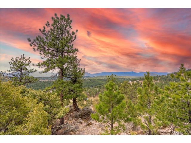 43 Doe Cir, Bailey, CO 80421