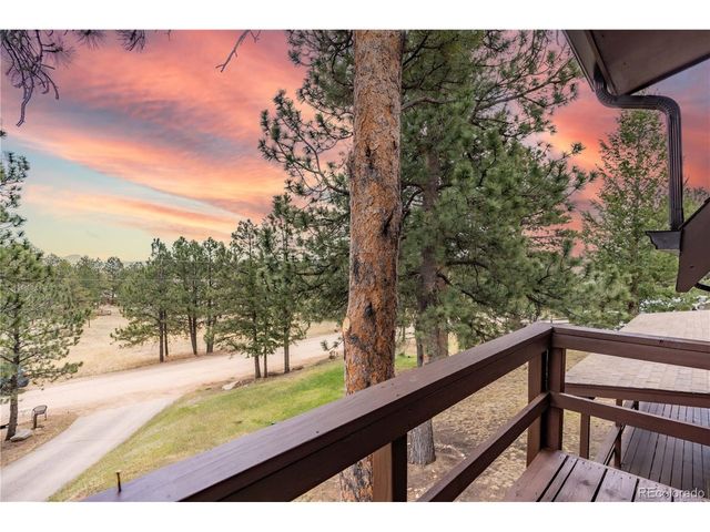 43 Doe Cir, Bailey, CO 80421