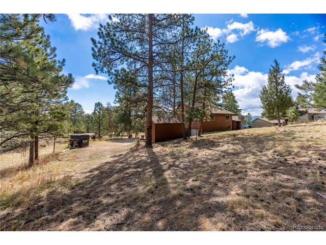 43 Doe Cir, Bailey, CO 80421