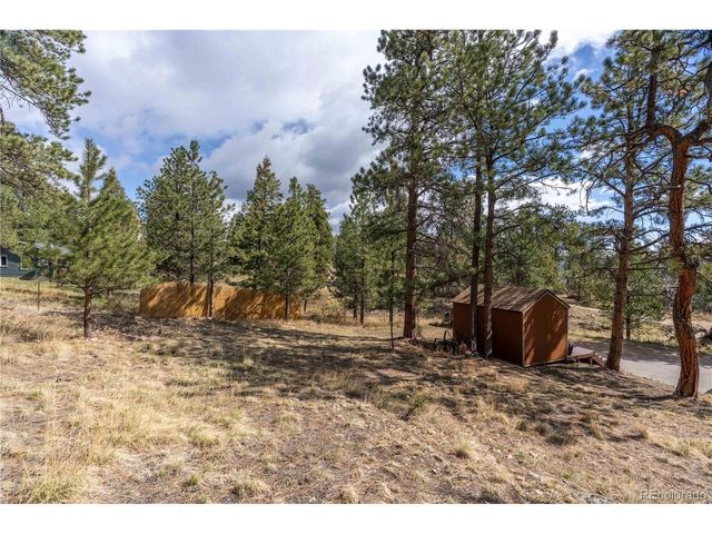 43 Doe Cir, Bailey, CO 80421