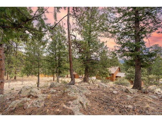 43 Doe Cir, Bailey, CO 80421