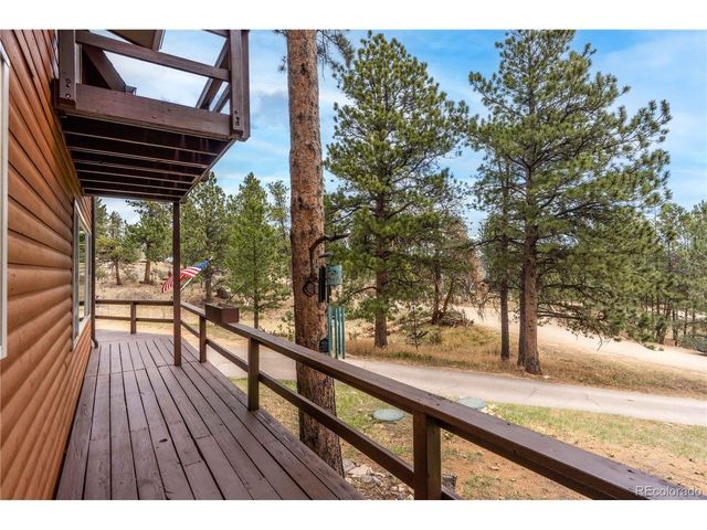 43 Doe Cir, Bailey, CO 80421