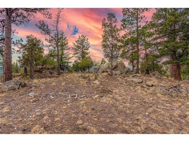 43 Doe Cir, Bailey, CO 80421