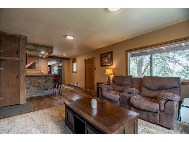 43 Doe Cir, Bailey, CO 80421