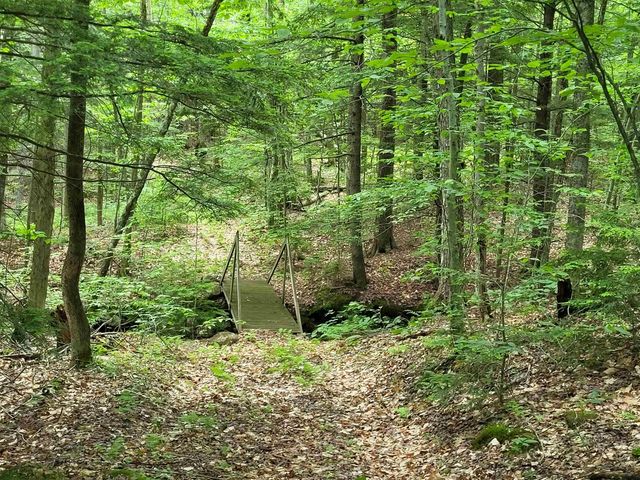 269 Knowles Hill Road, Alexandria, NH 03222