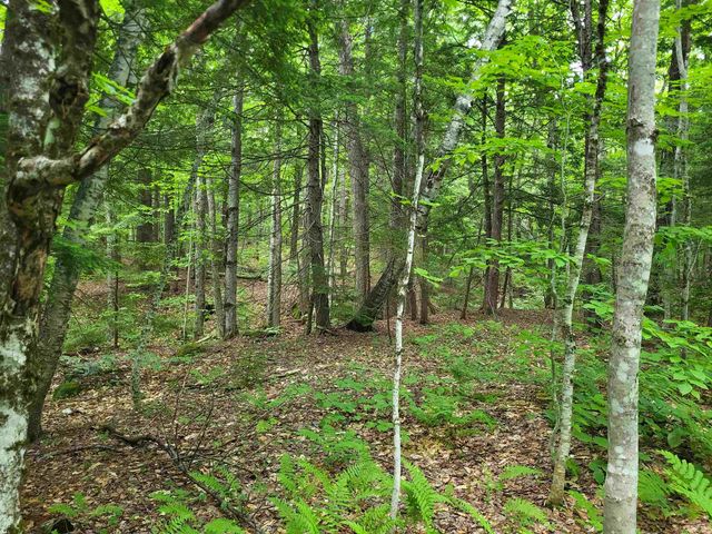 269 Knowles Hill Road, Alexandria, NH 03222