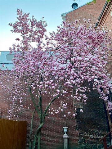 12 Cordis Street 1, Boston, MA 02129