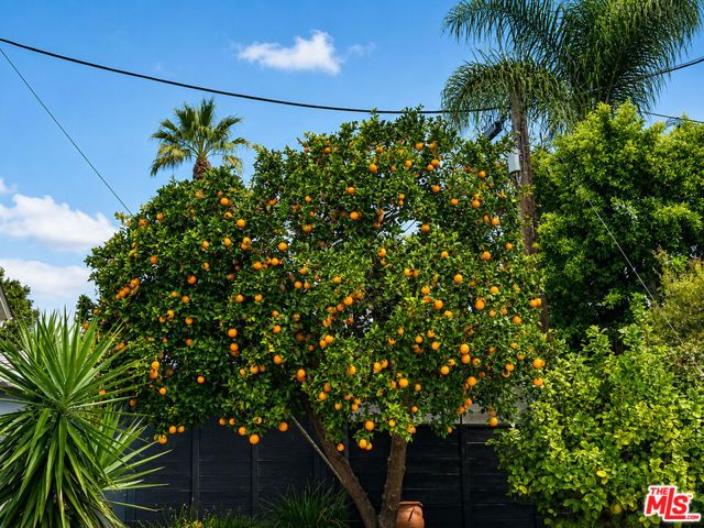 12773 La Maida Street, Los Angeles, CA 91607