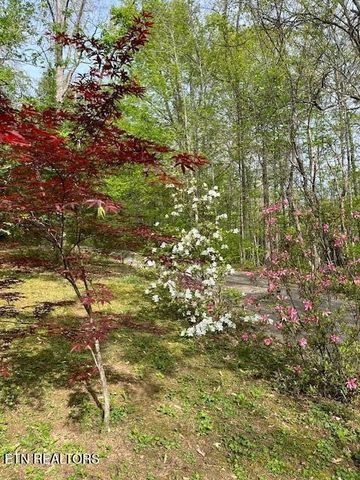 7709 Neubert Springs Rd, Knoxville, TN 37920