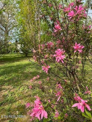 7709 Neubert Springs Rd, Knoxville, TN 37920