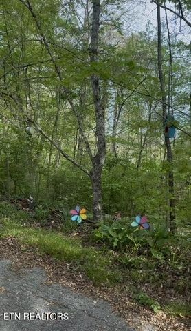 7709 Neubert Springs Rd, Knoxville, TN 37920
