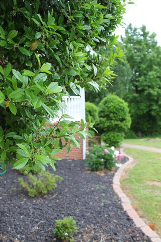 245 Braddie Cove, Paducah, KY 42001