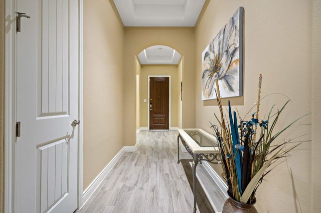 163 Mount Ellen ST, Hutto, TX 78634