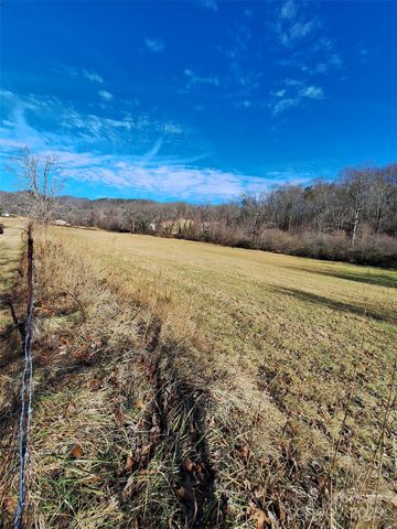 40 Georges Branch Road, Candler, NC 28715