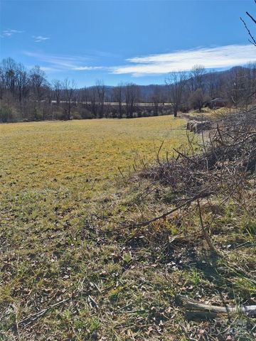 40 Georges Branch Road, Candler, NC 28715