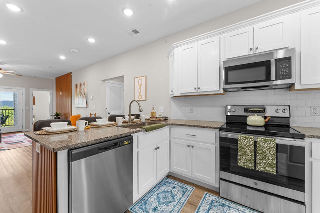 3013 N Vineyards Terrace 2, Branson, MO 65616