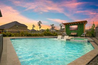 9715 Migrant Hawker Court, Conroe, TX 77385