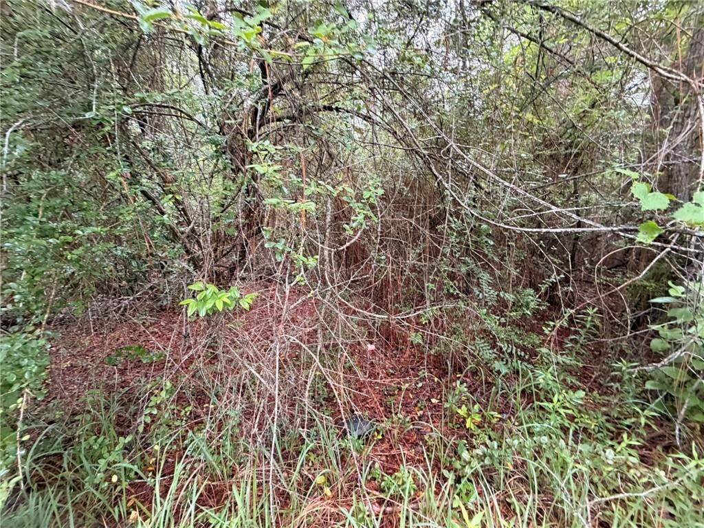 0 Laco Cooper Road, Wilmer, AL 36587 — photo 3
