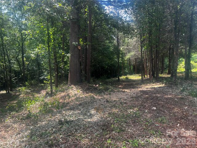 10376 Turnplow Drive 9, Davidson, NC 28036