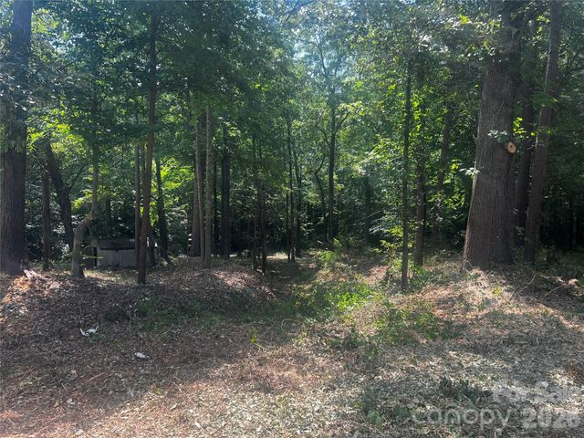 10376 Turnplow Drive 9, Davidson, NC 28036