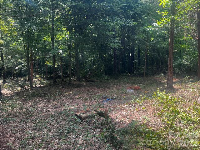 10376 Turnplow Drive 9, Davidson, NC 28036