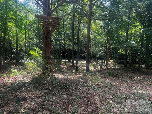10376 Turnplow Drive 9, Davidson, NC 28036