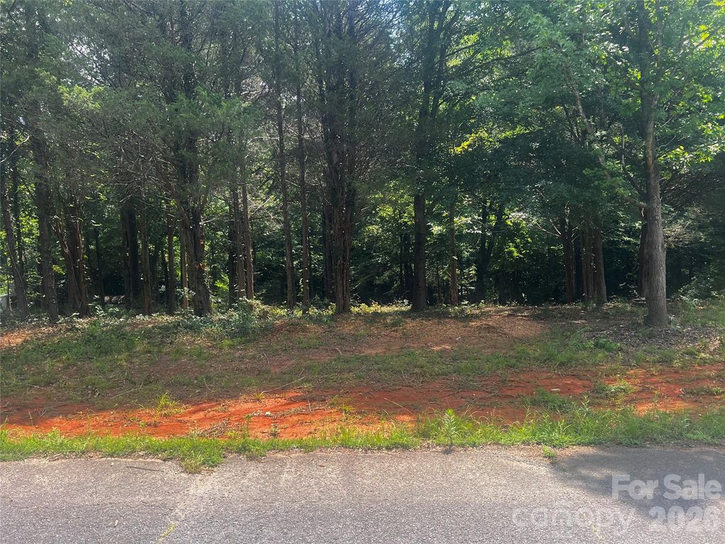 10376 Turnplow Drive 9, Davidson, NC 28036