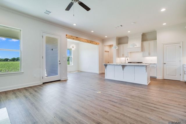 12089 Clare Ct, Geismar, LA 70734