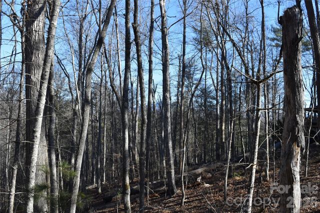 448 Sweetwater Road, Green Mountain, NC 28740