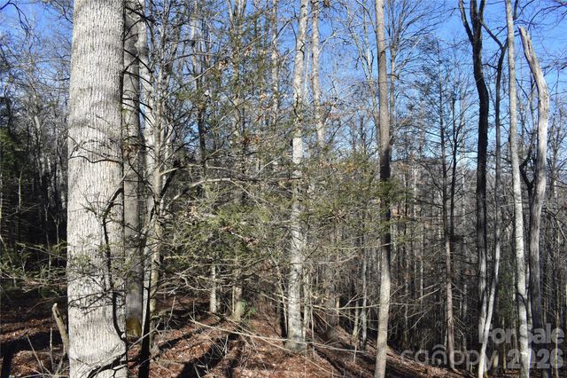 448 Sweetwater Road, Green Mountain, NC 28740