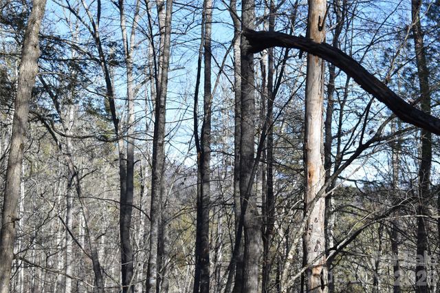 448 Sweetwater Road, Green Mountain, NC 28740