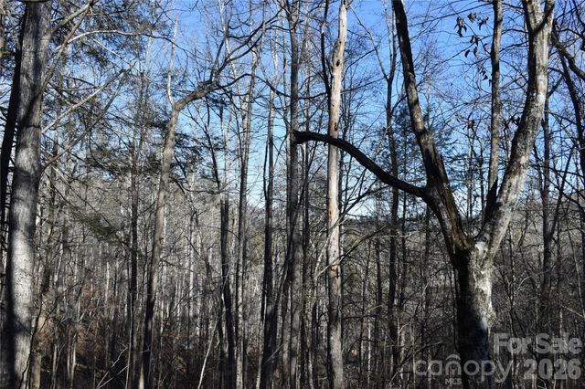 448 Sweetwater Road, Green Mountain, NC 28740